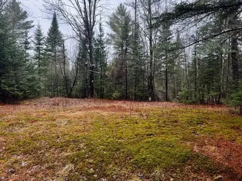 So 001 Plan 2 Lot 16.1 Long Falls Dam Road Lexington Twp ME 04961