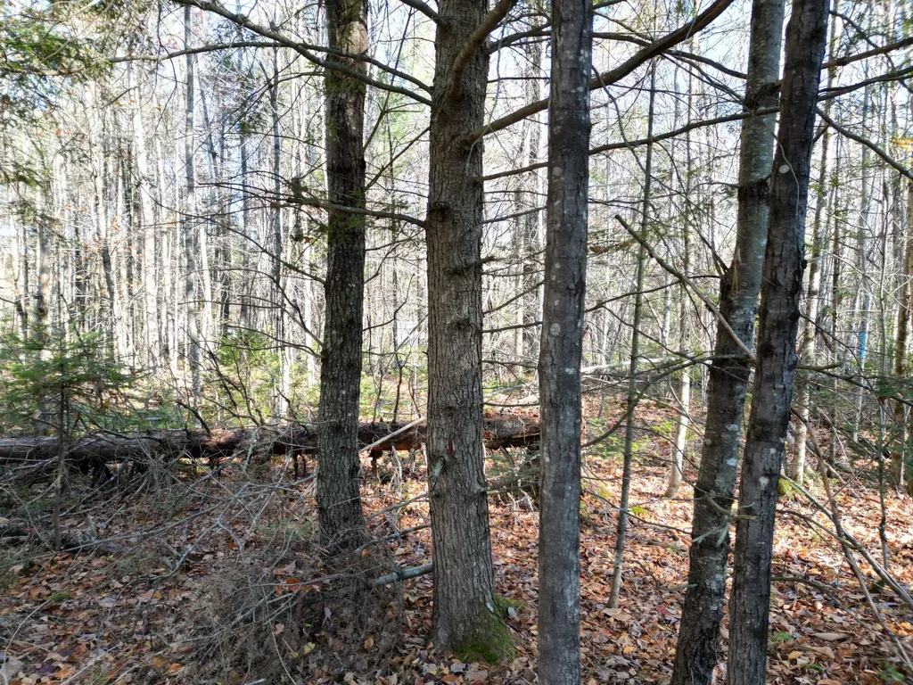 Lot 8a,9a James Way Lincoln ME 04457