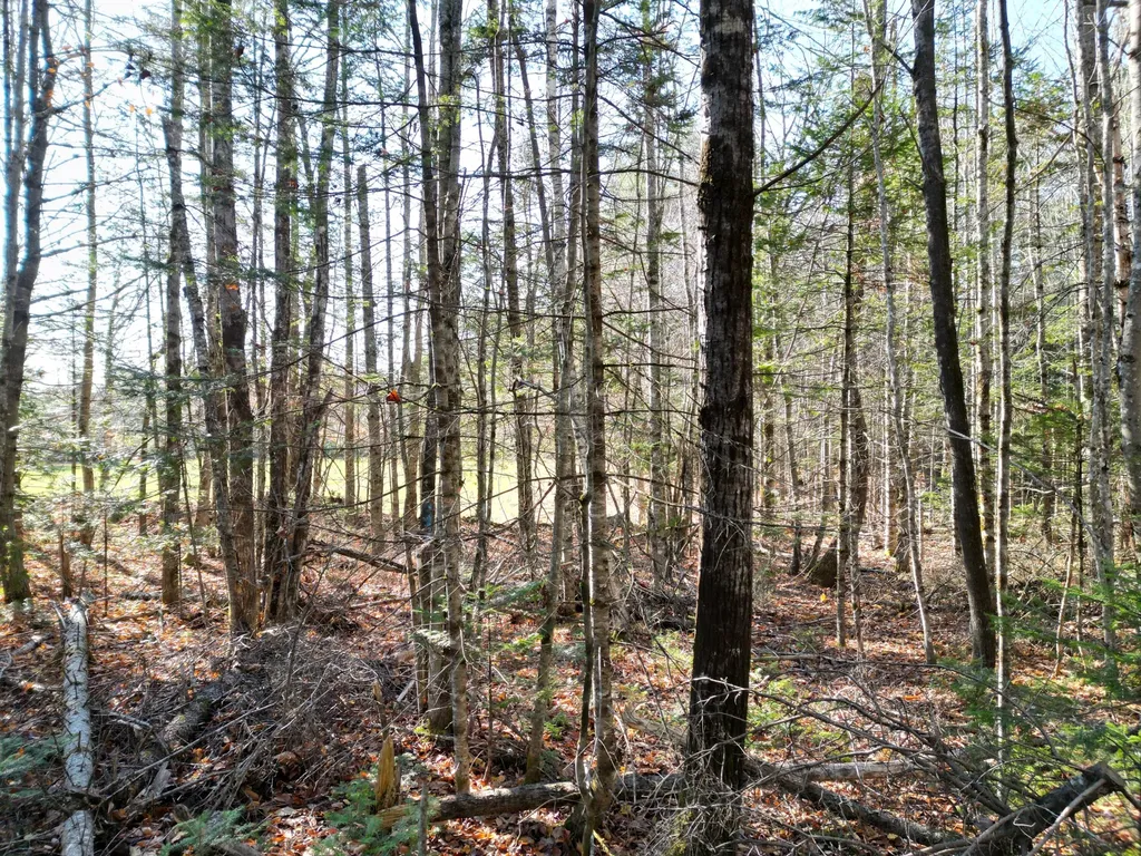 Lot 8a,9a James Way Lincoln ME 04457