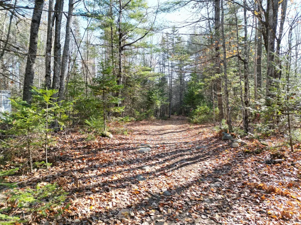 Lot 8a,9a James Way Lincoln ME 04457