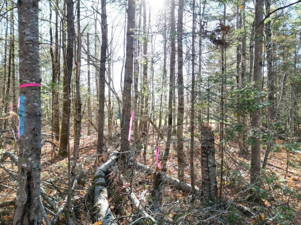 Lot 8a,9a James Way Lincoln ME 04457