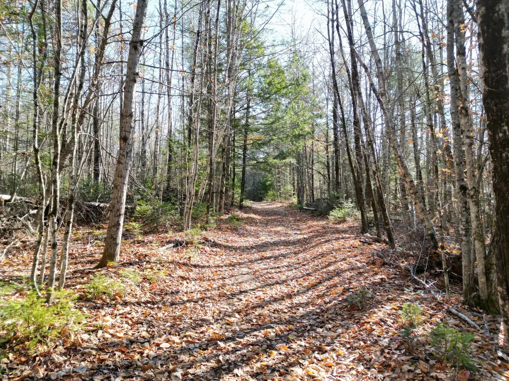 Lot 8a,9a James Way Lincoln ME 04457