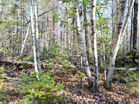 Lot 8a,9a James Way Lincoln ME 04457