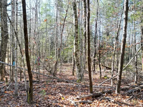 Lot 8a,9a James Way Lincoln ME 04457