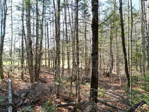 Lot 8a,9a James Way Lincoln ME 04457