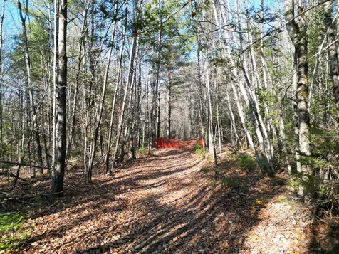 Lot 8a,9a James Way Lincoln ME 04457