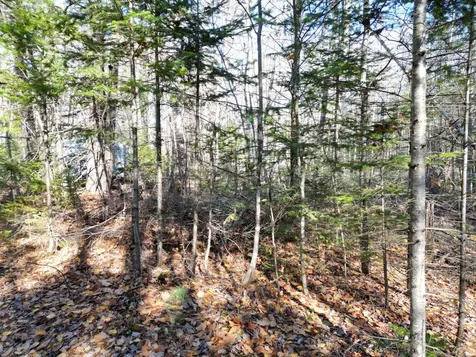 Lot 8a,9a James Way Lincoln ME 04457