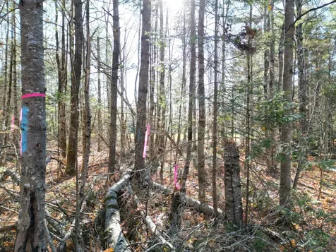 Lot 8a,9a James Way Lincoln ME 04457