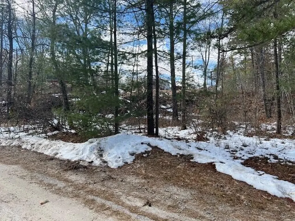 Lot 43 Rattlesnake Road Brownfield ME 04010