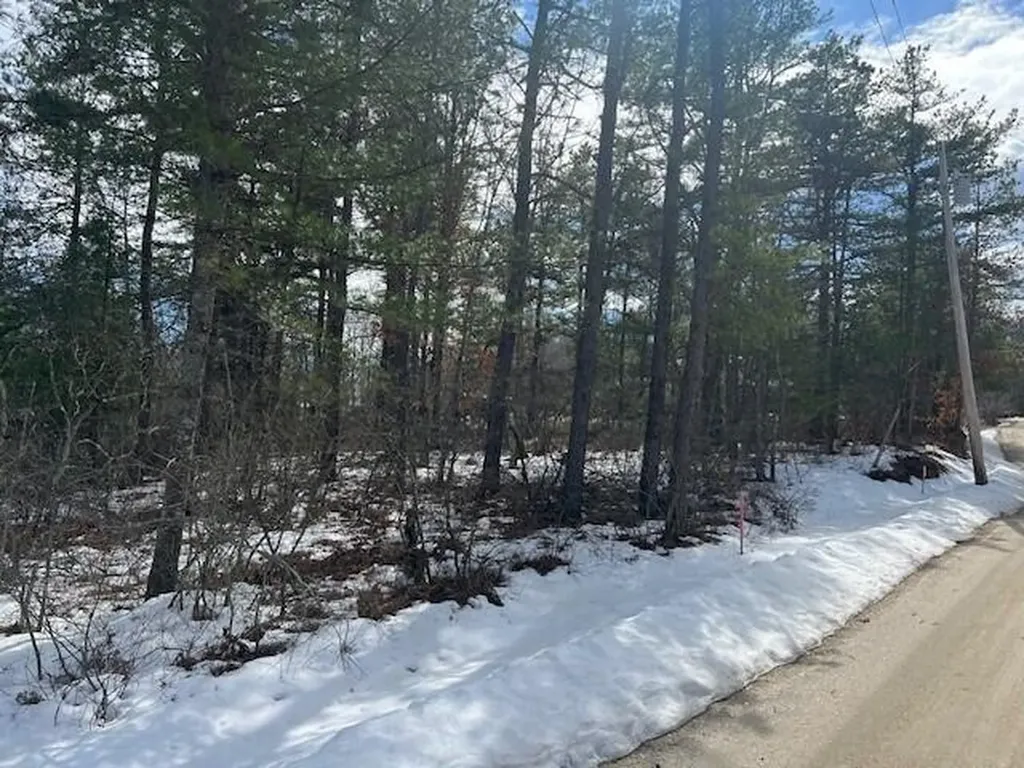 Lot 43 Rattlesnake Road Brownfield ME 04010