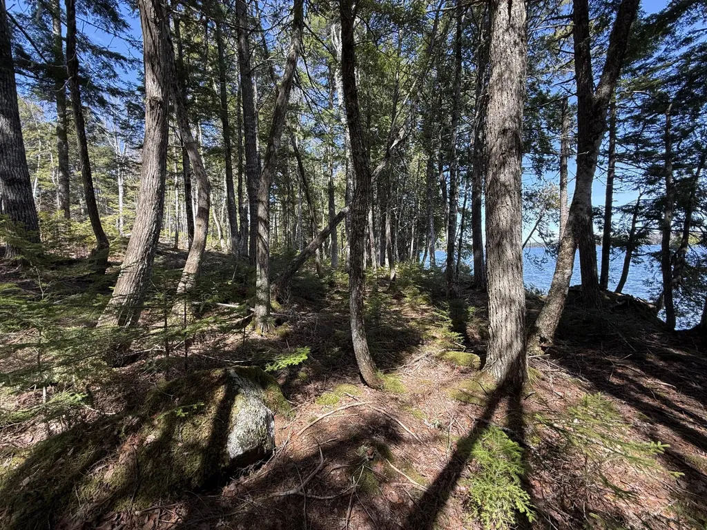 Lot 4 Chadwick Point Road Weston ME 04424