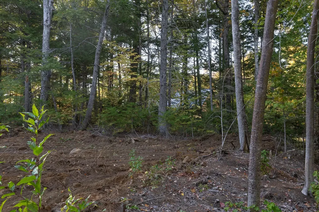 Lot 4 Chadwick Point Road Weston ME 04424