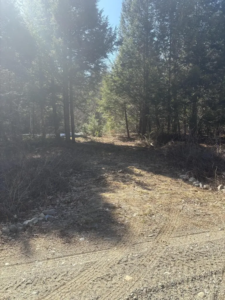 Lot 4 W Indian Road Woodville ME 04457