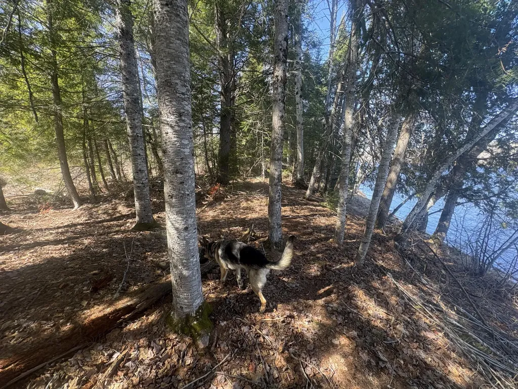 Lot 4 W Indian Road Woodville ME 04457