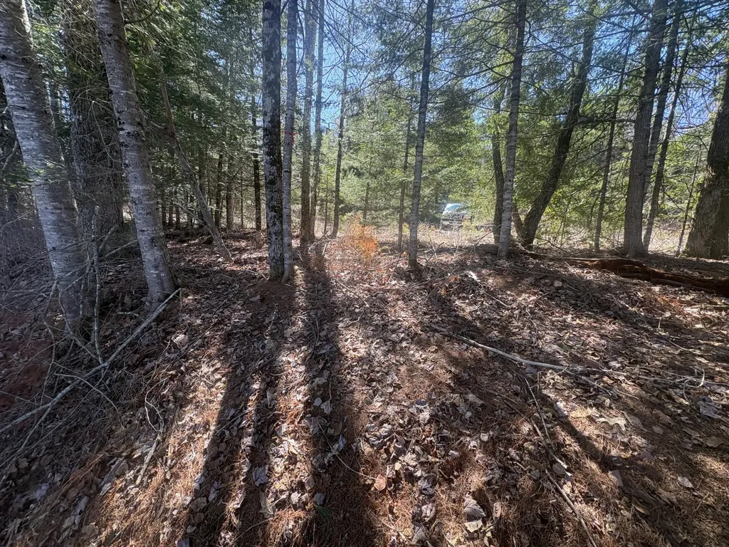 Lot 4 W Indian Road Woodville ME 04457