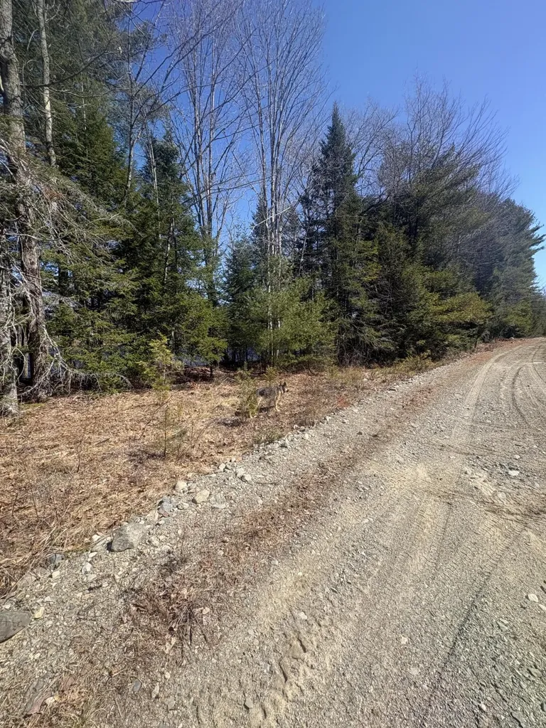 Lot 4 W Indian Road Woodville ME 04457