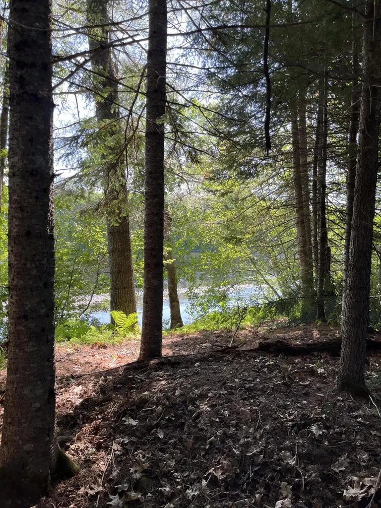 Lot 4 W Indian Road Woodville ME 04457