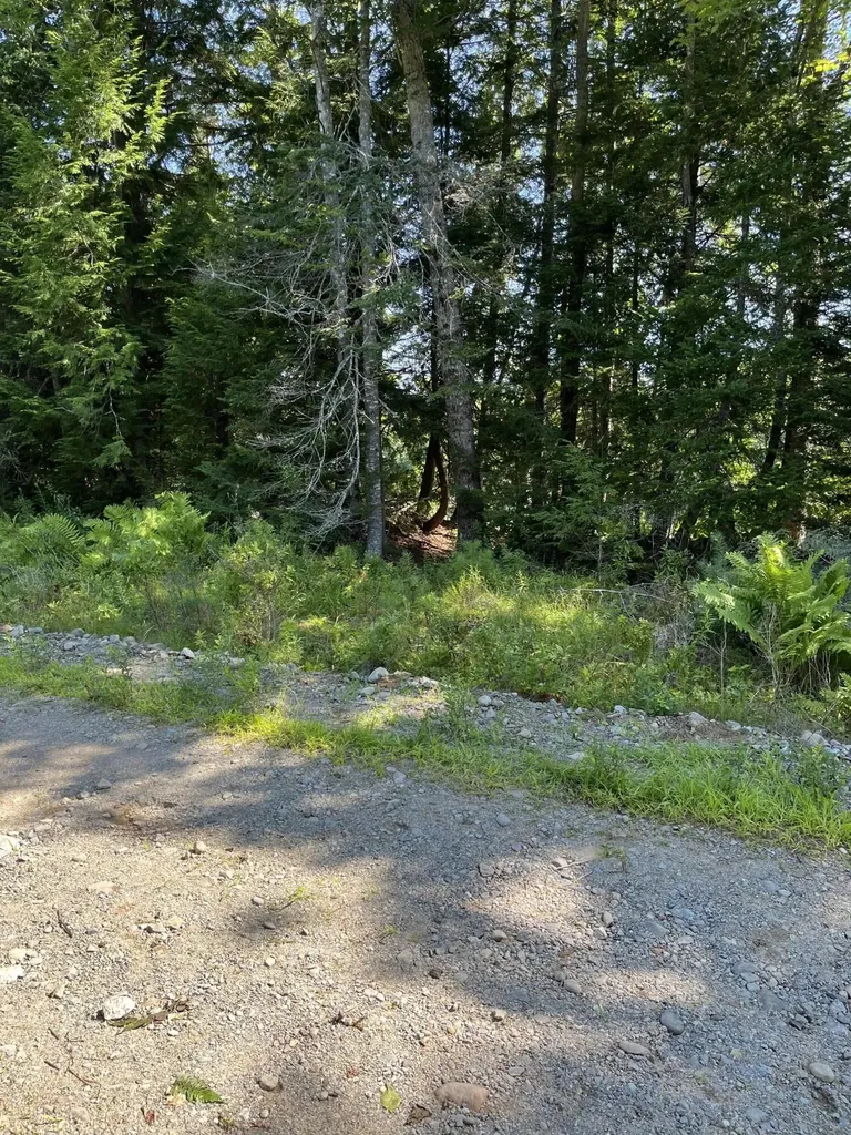 Lot 4 W Indian Road Woodville ME 04457