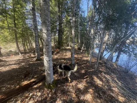 Lot 4 W Indian Road Woodville ME 04457