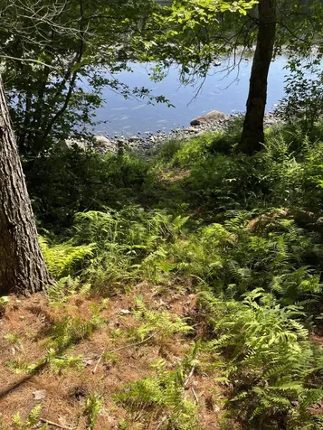 Lot 4 W Indian Road Woodville ME 04457