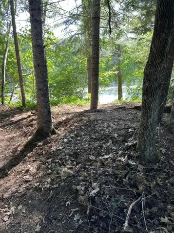 Lot 4 W Indian Road Woodville ME 04457