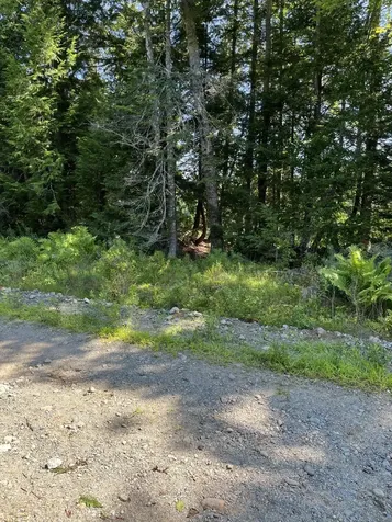 Lot 4 W Indian Road Woodville ME 04457