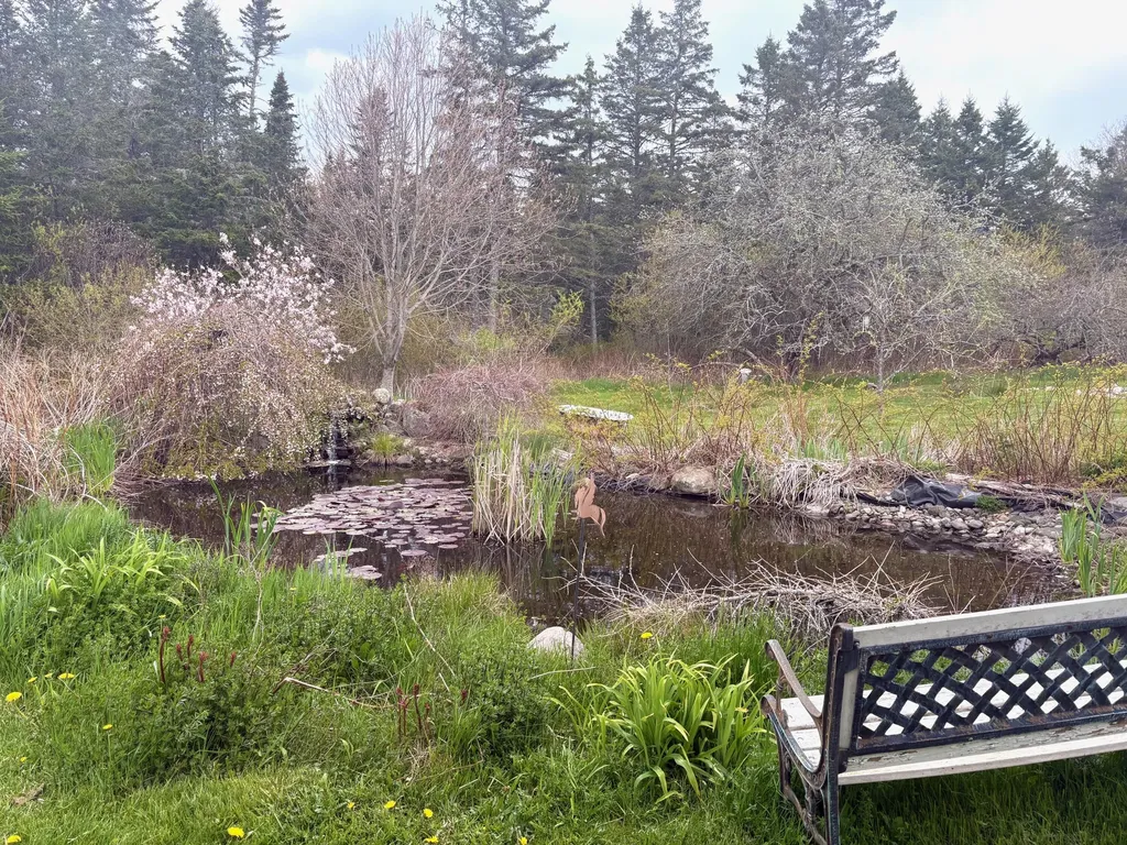 99 Little Machias Road Cutler ME 04626