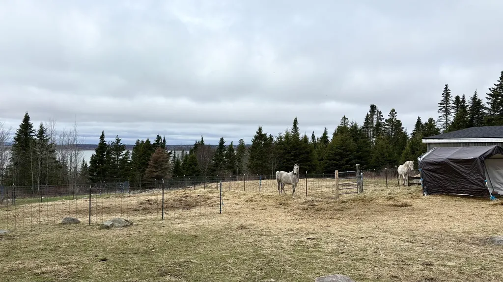 99 Little Machias Road Cutler ME 04626