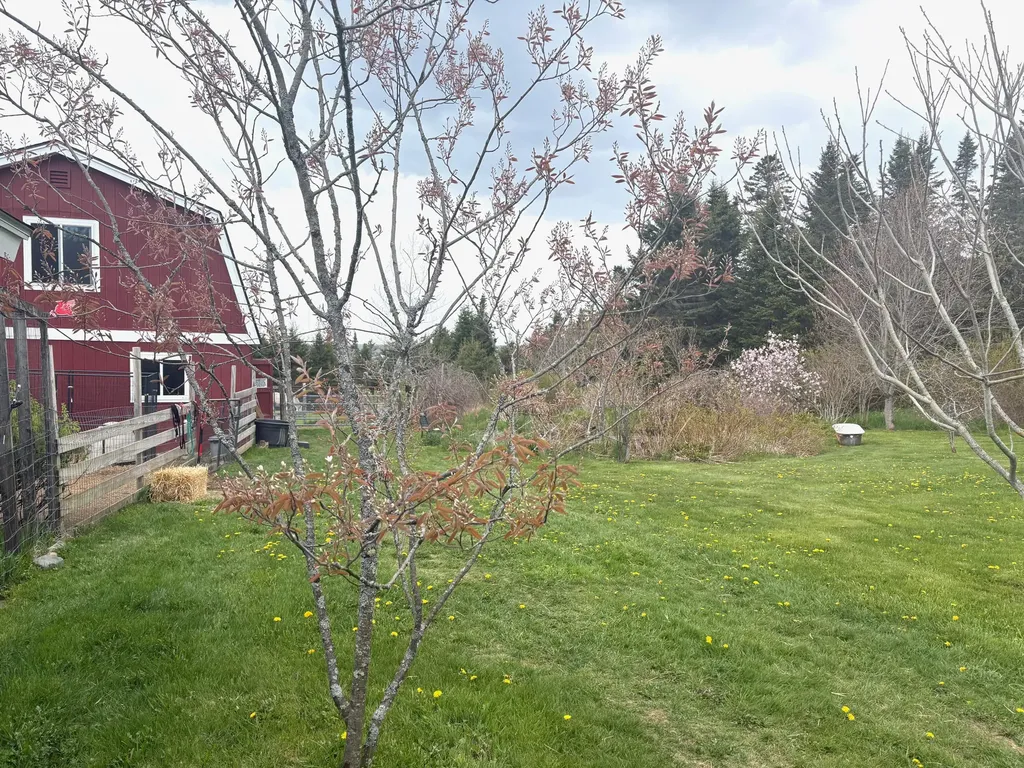 99 Little Machias Road Cutler ME 04626