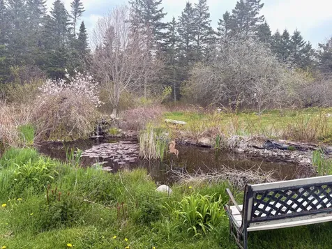 99 Little Machias Road Cutler ME 04626