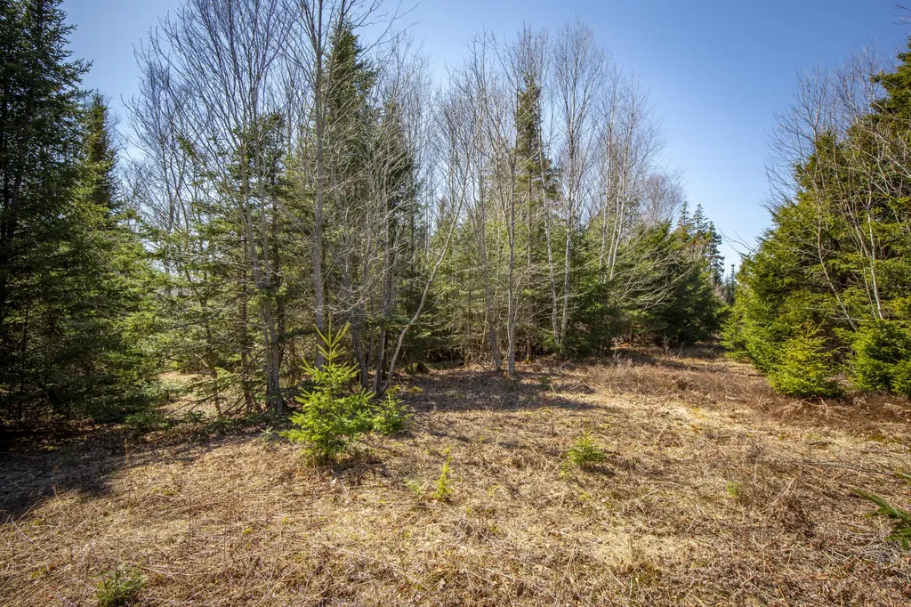 Lot C Lang Road Saint George ME 04860