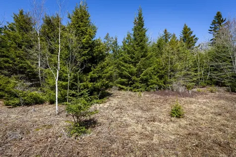 Lot C Lang Road Saint George ME 04860