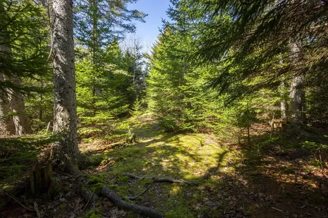 Lot C Lang Road Saint George ME 04860