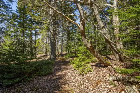 Lot C Lang Road Saint George ME 04860