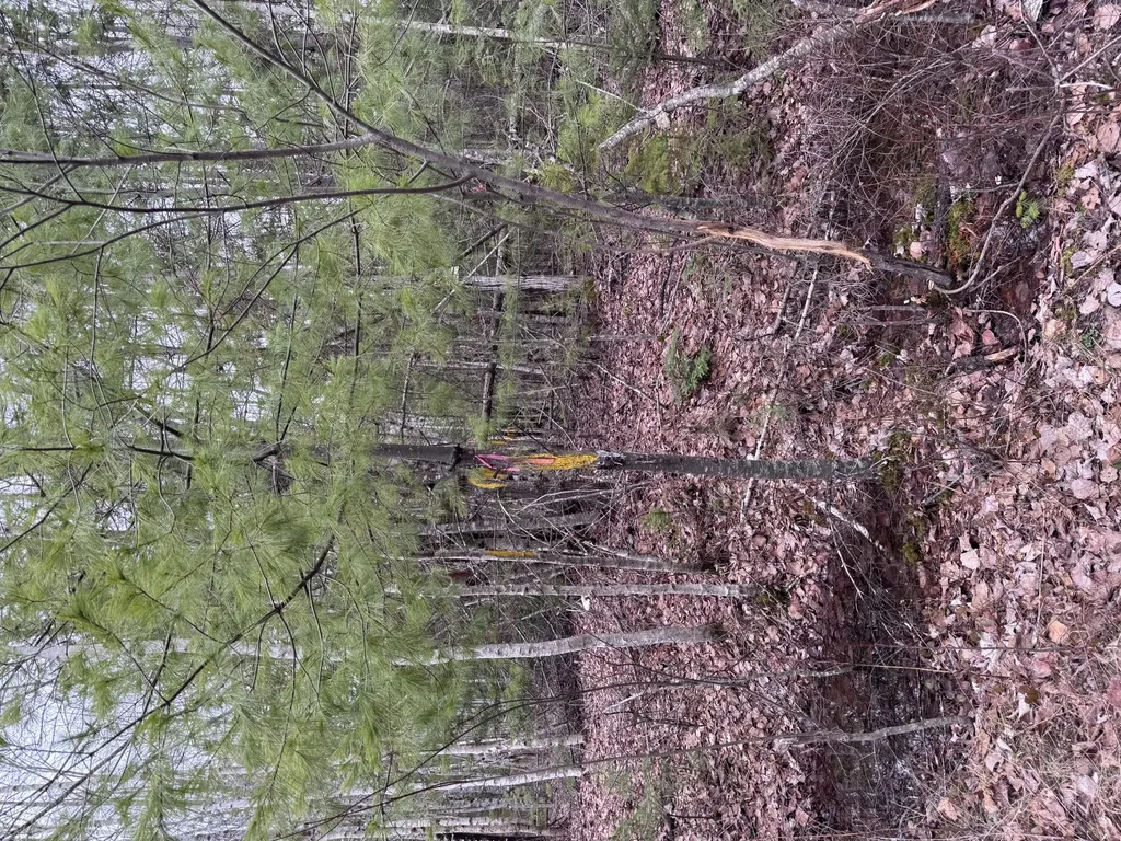 24 Wolf Run Trail Greenbush ME 04418