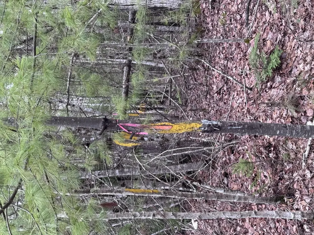 24 Wolf Run Trail Greenbush ME 04418