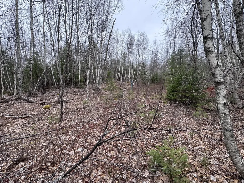 24 Wolf Run Trail Greenbush ME 04418