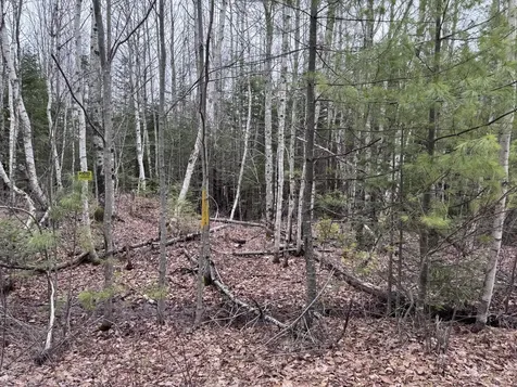 24 Wolf Run Trail Greenbush ME 04418