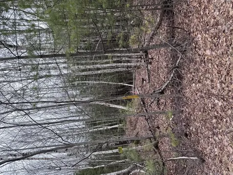 24 Wolf Run Trail Greenbush ME 04418
