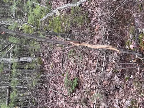 24 Wolf Run Trail Greenbush ME 04418
