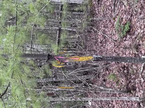 24 Wolf Run Trail Greenbush ME 04418