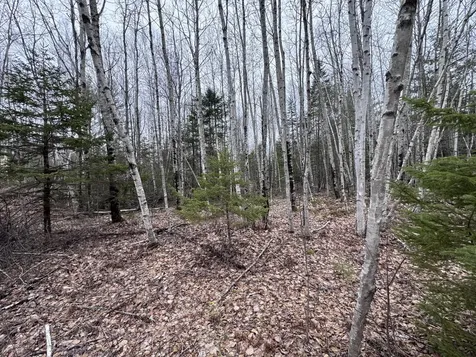 24 Wolf Run Trail Greenbush ME 04418