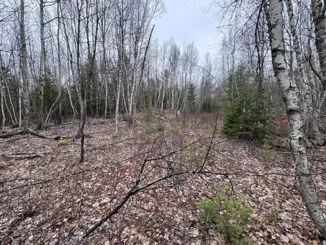 24 Wolf Run Trail Greenbush ME 04418