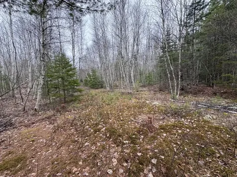 24 Wolf Run Trail Greenbush ME 04418