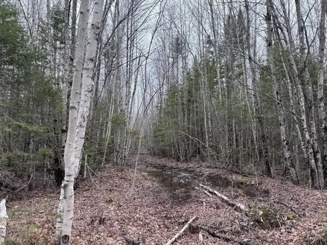 24 Wolf Run Trail Greenbush ME 04418