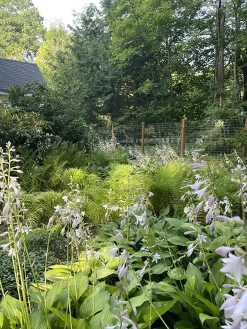 21 Johnson Road Falmouth ME 04105