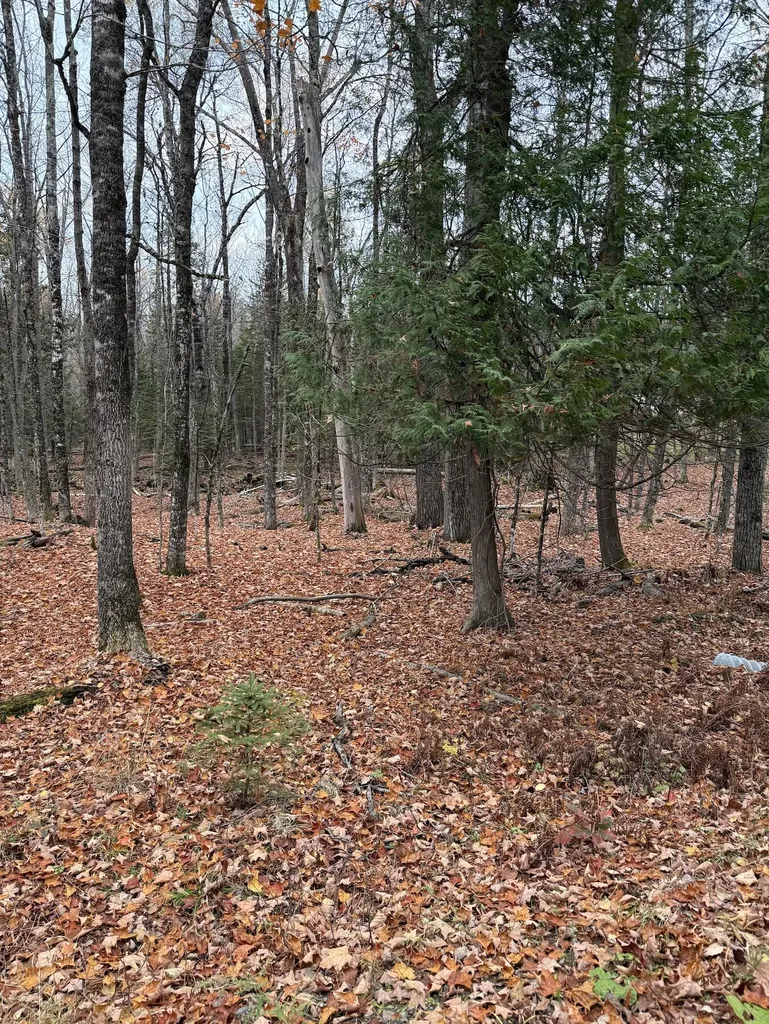 Lot 18 Shore Road Dexter ME 04930