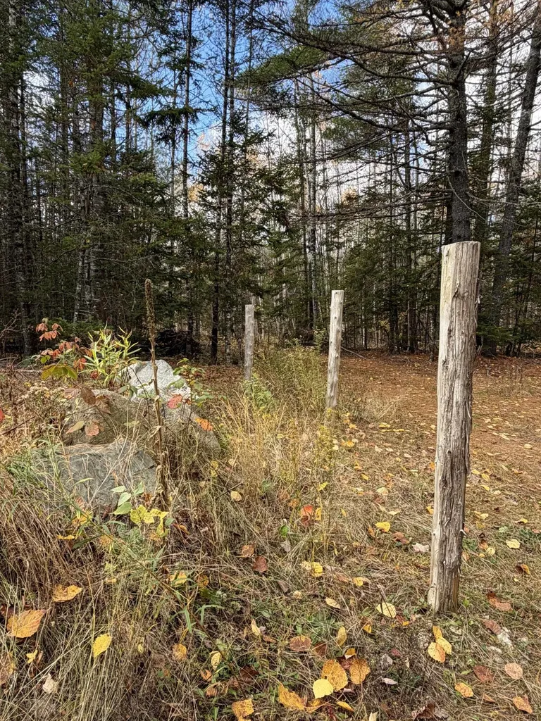 76 Wolf Run Trail Greenbush ME 04418