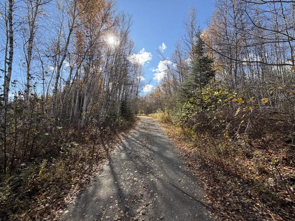 76 Wolf Run Trail Greenbush ME 04418