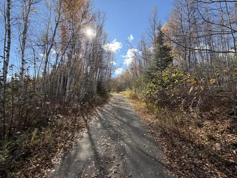 76 Wolf Run Trail Greenbush ME 04418